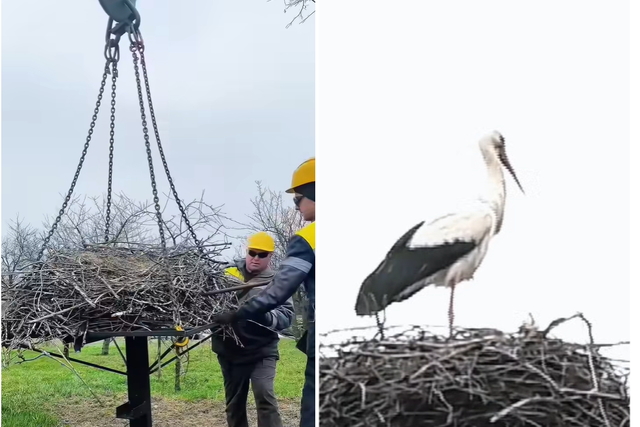 ���������� ������ ���������� ������������� ������ ��� ������