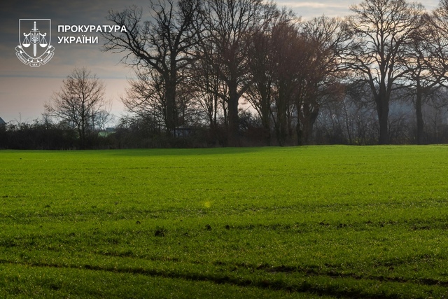 ����������� ����������� ���������� 85 �� ���� ������ �� ����������������