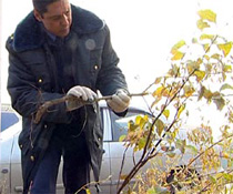 ������� ������� ���������