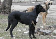 ���� ��� �� ����� ����� ������