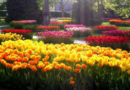 ��� ������ ��������� � ������ �� ���������������