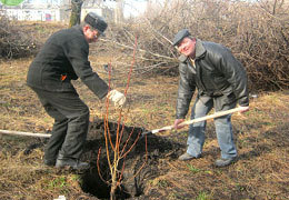 � ���������������� ������������� ����� 80-����� ���������������