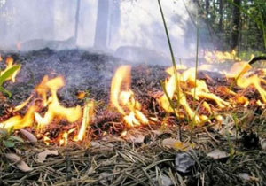 �������� ���������� � �������� ��������� ������������ �� ������ � ����