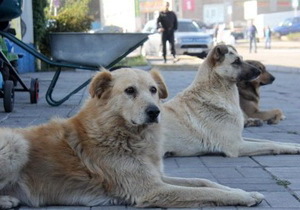 ��� ����� 