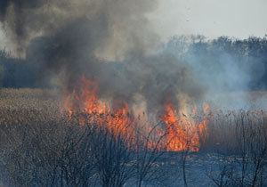 ������ ��������� ���������: ������ �������� � ������!