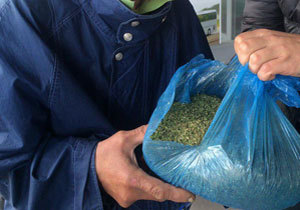 �� ����������������� �� ��������� ������� ����� ���������