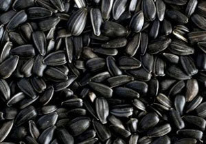 � ��������������� ������ �������� � ���������