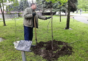 � ���������������� �������� ������� �������� �������