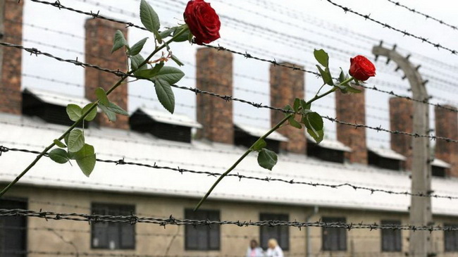 � ����� ������� ���������� ������� ������ ����� ���������� �����������