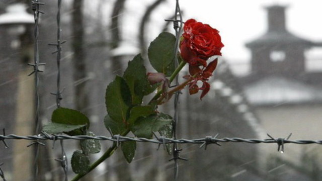 � ��������� ������� ������ ����� ���������� �������