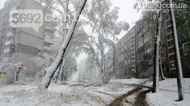 ��� �������������� �������� 6,5 ����� ��������