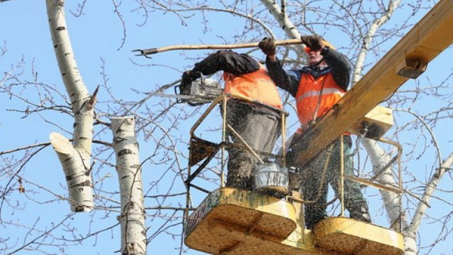 ������������� ���������� ������� ������� ���������� ������� ��������