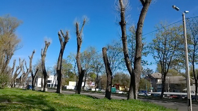 �� ���������� ���������� �������� 7 ��� ������