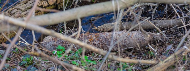 � ������ �� ����� ������������� ����� ������