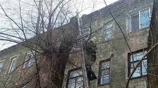 � ��������� ��������� ����� � ������ �����