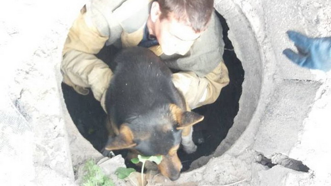 � ��������� ��������� ������� ������� ������������� � ������� ������