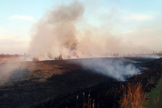 �� ���������������� ��������� ������������� ��������� ����� � ����������