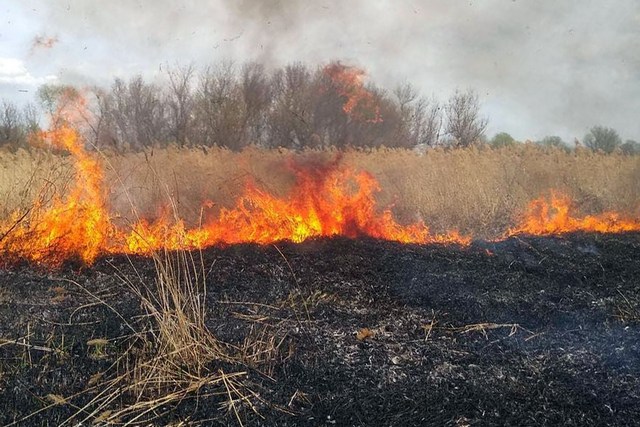 � ���������������� ������� ������������� ���������� ����� �����