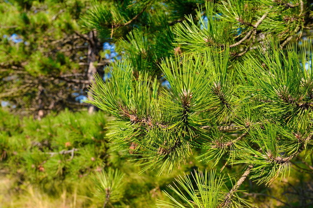 ˳           15 