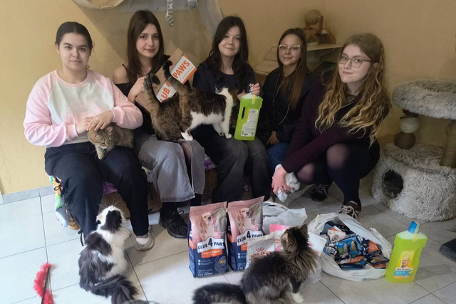 �������� ������ ����������� �������� ��������