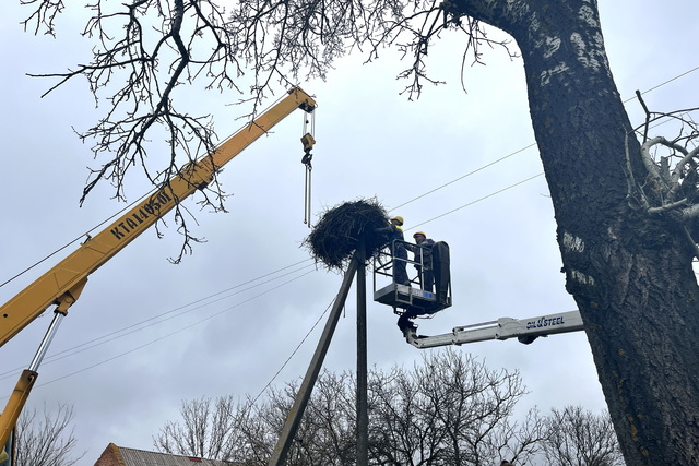 � ��� �� ���������������� ���������� ���������� �� ��� ��������� ��� ����� �����