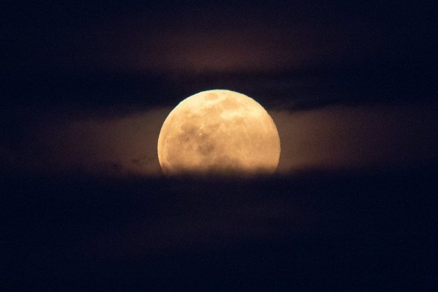 � ���� �� 2 ������ �������� ������ ��������� ����������. ������ ��� �������� �������: ������ ���������