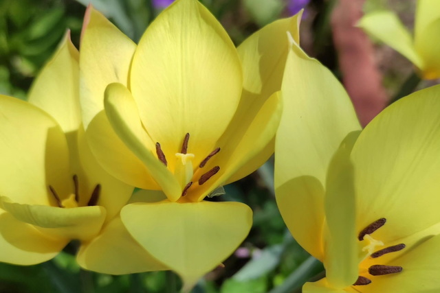 ���� ���������� ���������� �� ������ � ������� ����� �������