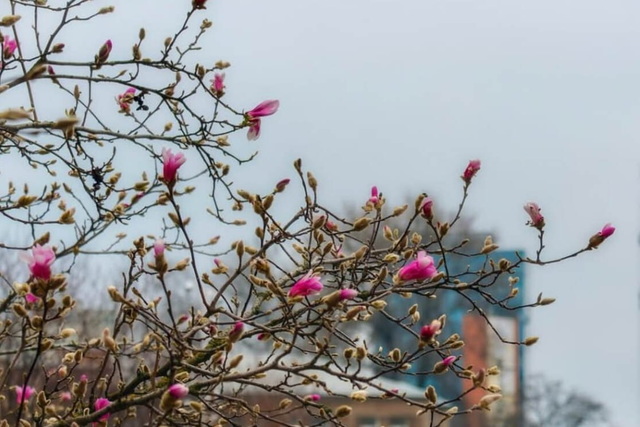 ����� ������� � �����: ���-6 �������, �� ����� ������������ ������� � ������� ���� 