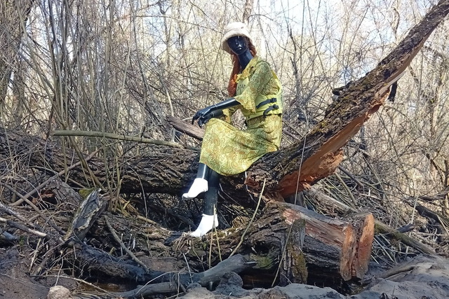 � ĳ������� ������� ��������� ������� �������