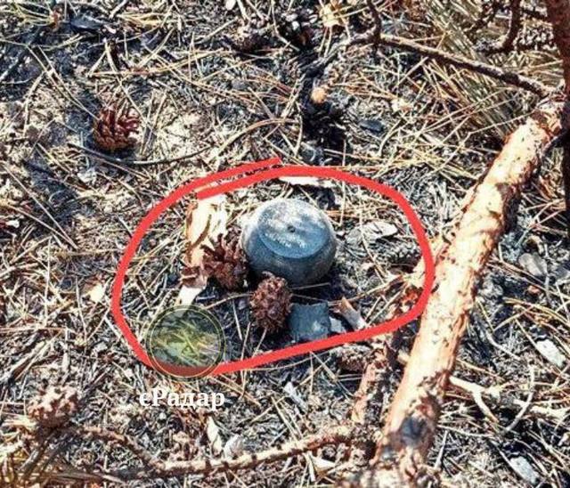 ������ ��� ����: ���������� ���� ������