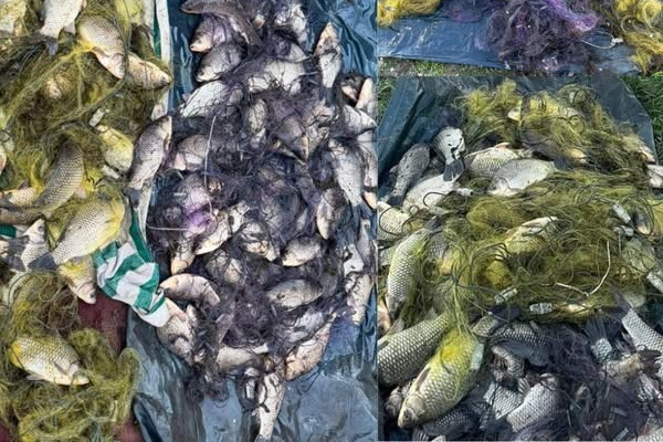 �� ���������������� ���������� ������� ������ �� 250 ����� ���