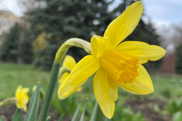 Фото: Суспільне Дніпро Заморозки на поверхні ґрунту, дощі. Якою буде погода на Дніпропетровщині на цьому тижні