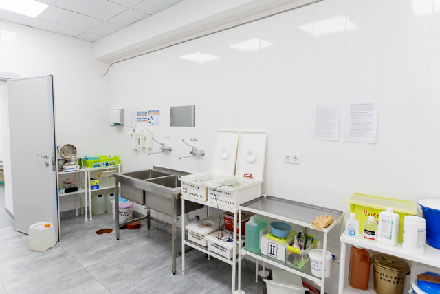 � ��������� ϳ����� �������� ��� �������� ������� ����������������