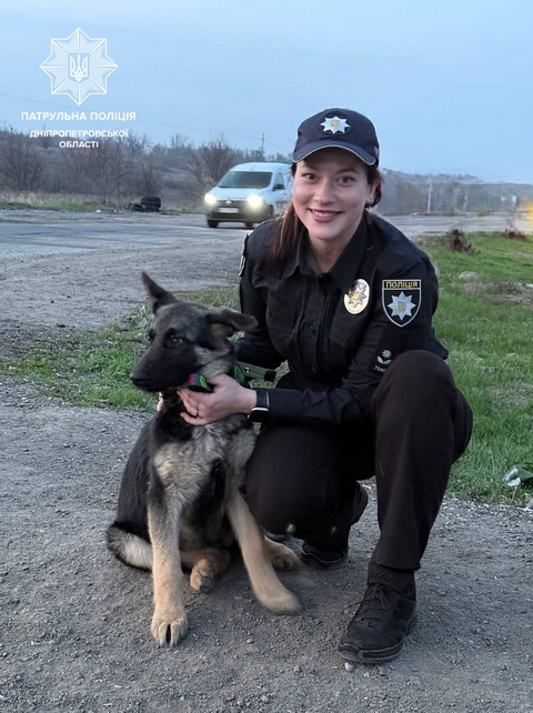 ����������� ��������� ������ ������ ����� ����������� ���������� ������