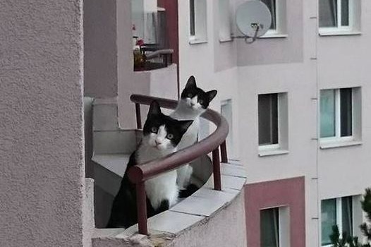 Ринок нерухомості Дніпра почав оживати