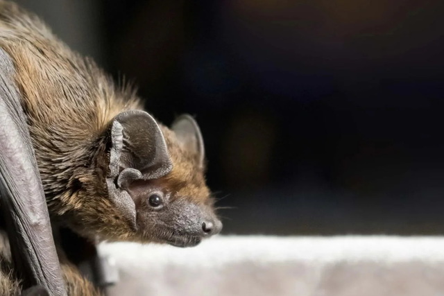 � ����� ��������� �� ���� ����� ���������� �������: �� �� ��������� 