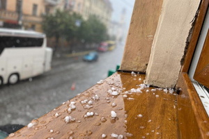 ������ ������ ����������� �������� ����