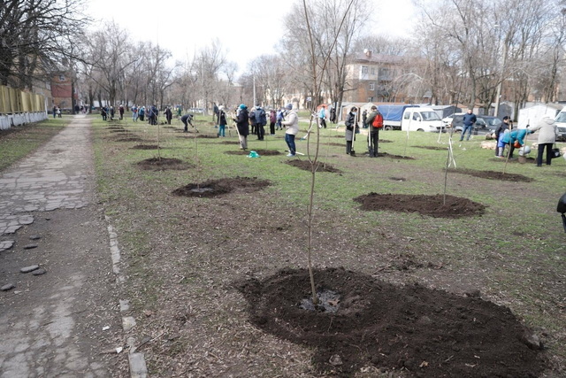 Городской департамент за 500 тысяч проведет в Днепре серию семинаров по озеленению