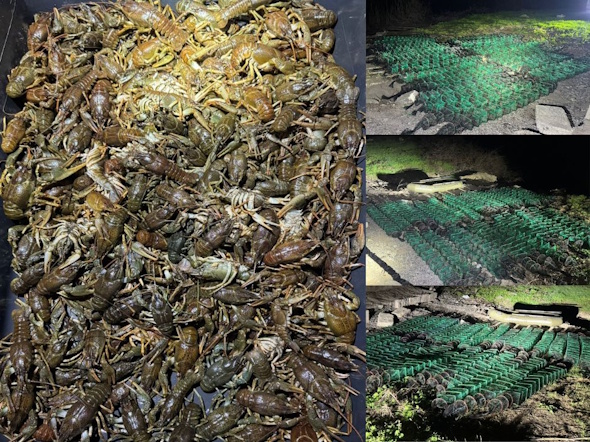 ����� ����� �� ����� 1 ��� ���: �� ���������������� ��������� ������� 6 �� �����