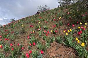 15 ����� ���� �� ����. � ������� ��� �� ������������ ����� ������ ��������, ������������� ����� � ��� ������