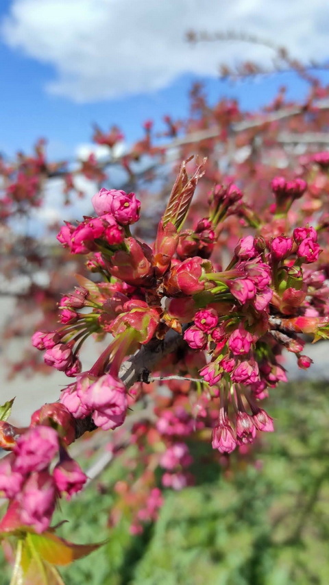 � ������ ���������� ����� �������� �����