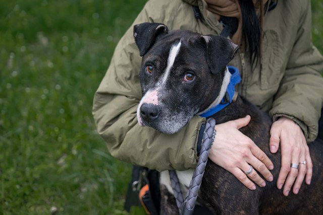 ��������� �������� �������� � �������, ����� � ������� ���� ���. �� ������� � ����� ������������ ����������� �������