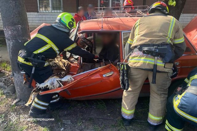 � ������ ���� ������� ������������� ������������� �������� �� ������������� ����������