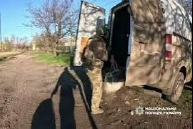 ����� ���������� ������ ����������: ������ ������� ���������� ������� ����� �� ������������ ������ ���������������� ������