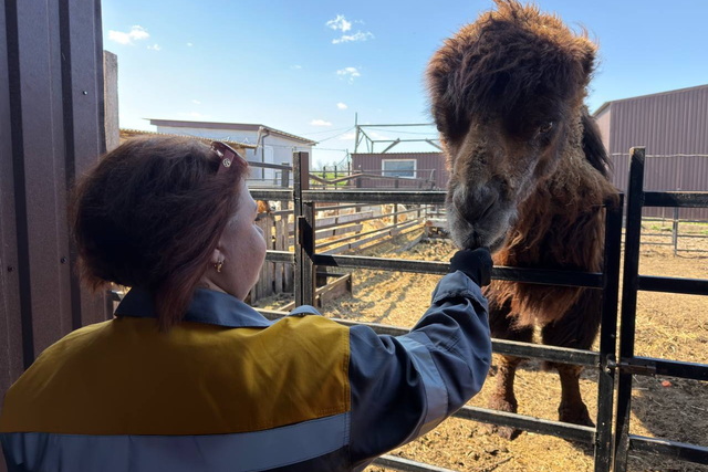 ���������� ������ ���������� �������� �������� � ���������� �������