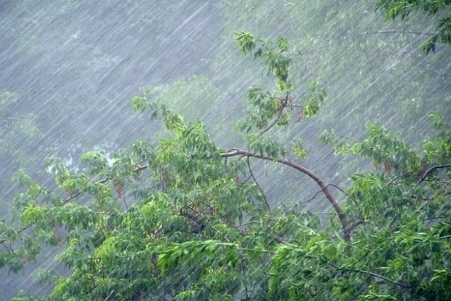 ������ ����� ���������, �������� � ��������: ������� �� ������ �� ����������������