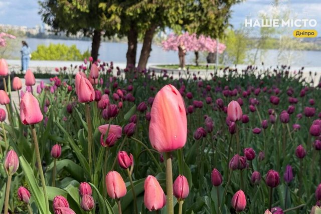 ���� �� �������: ��������� ��������� ����� �������� � ����� ������ � ��� ��������� �� �����