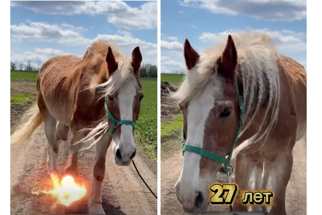 � ������ ������ ����� ������� ����-�������� � ���������� ��������