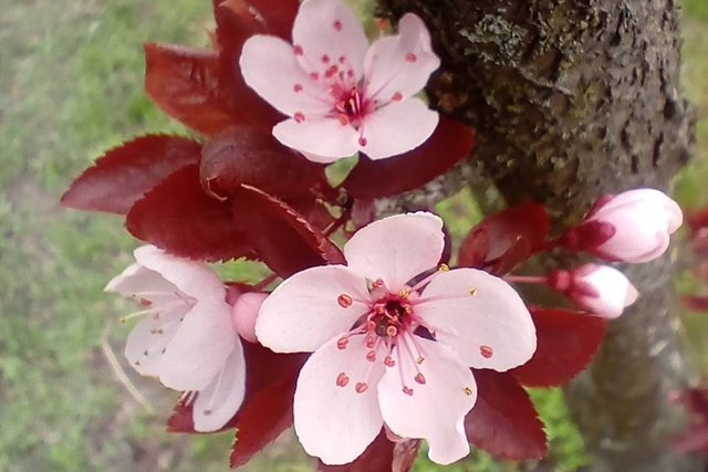 ������ ��� ������� ���������� � ����� � �������