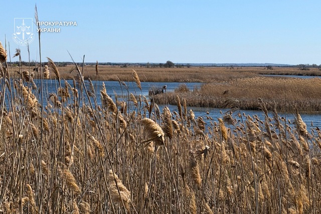 ³����� ����� ������������ ����� �� ��������� ������������: ����������� ������� ��������� �������� ���� � ���������� �������